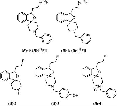 In vitro and in vivo Human Metabolism of (S)-[18F]Fluspidine – A Radioligand for Imaging σ1 Receptors With Positron Emission Tomography (PET)